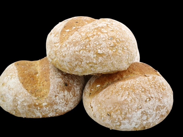 Oerbol