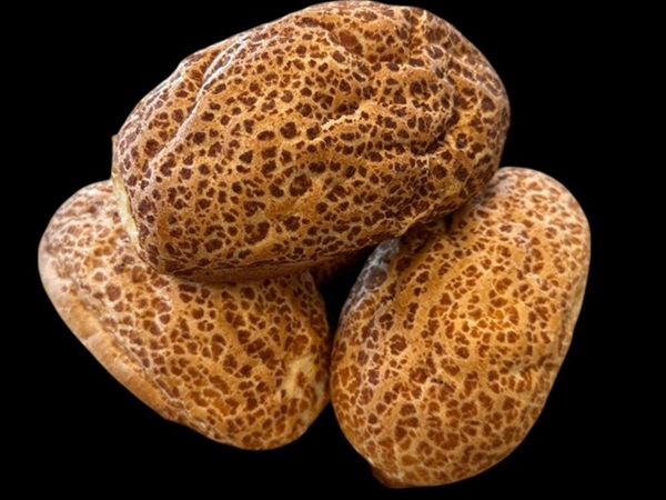 Tijgerbollen