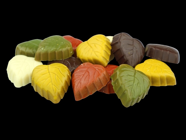 Herfstblaadjes